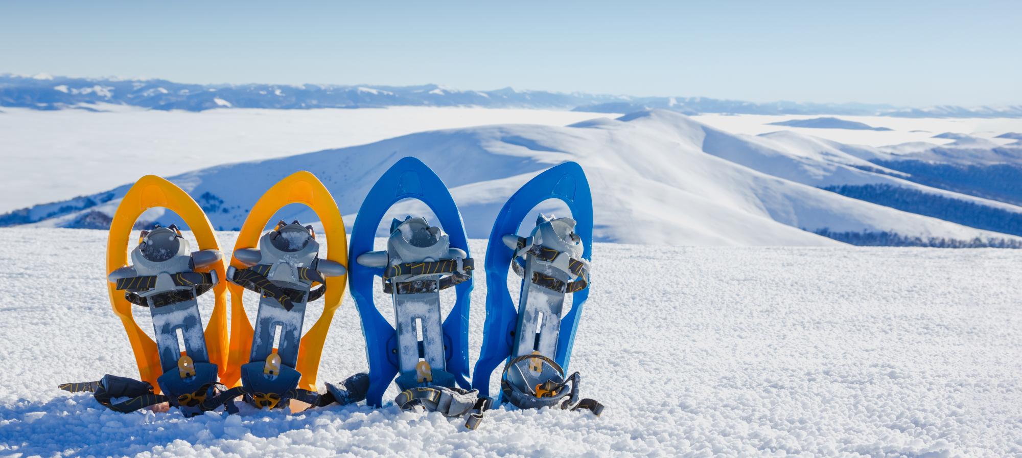 Gemütliche Schneeschuhwanderung mit Lois 