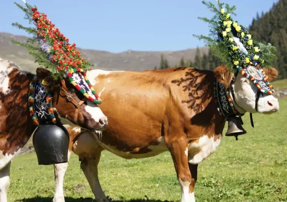 Tradition erleben - Almabtriebe in der Region 